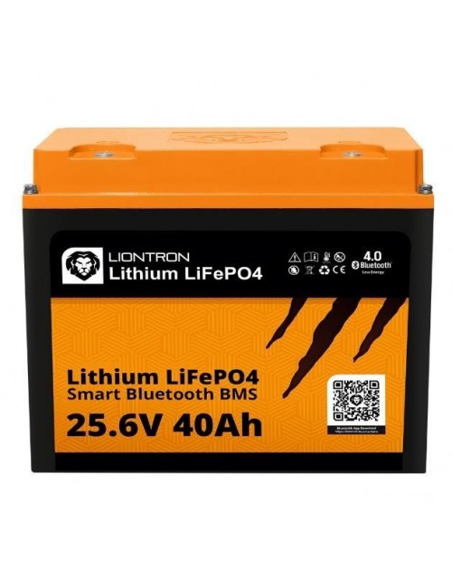 LiFePO4 batterij 24V 40Ah LionTron