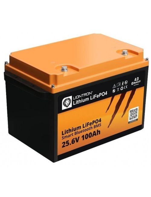 Batterie LiFePO4 24v 100Ah LionTron